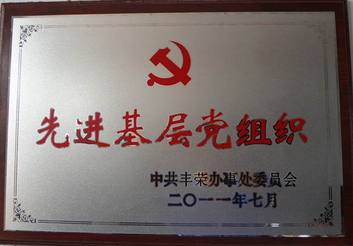 先进基层党组织